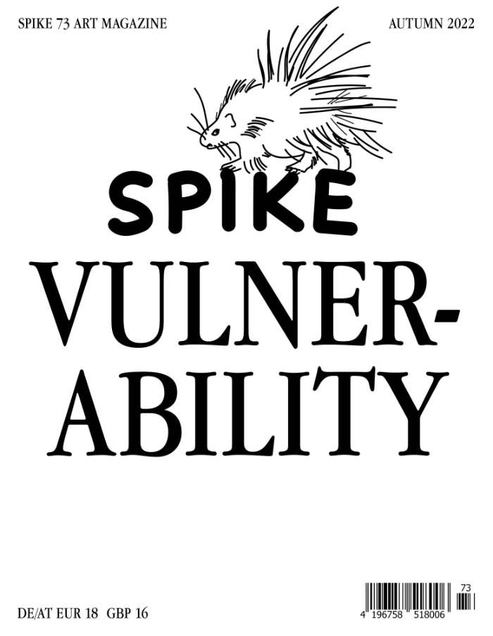 Spike #73 – Vulnerability