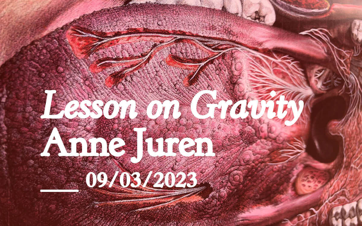 [Performance] Lesson on Gravity by Anne Juren