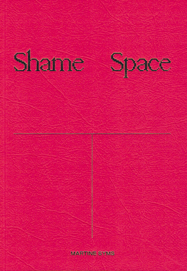 Shame Space