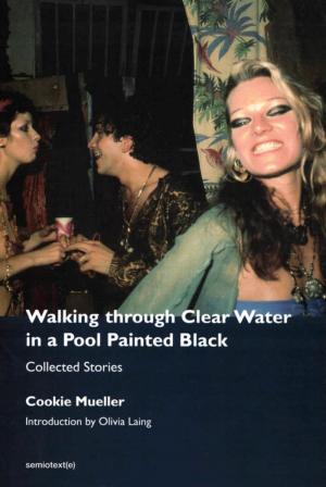 Walking Through Clear Water in a Pool Painted Black, New Edition: Collected Stories