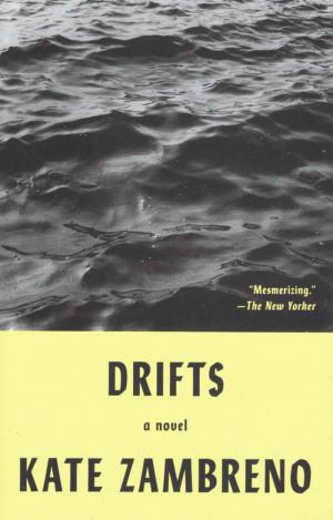 Drifts (paperback) - cover image