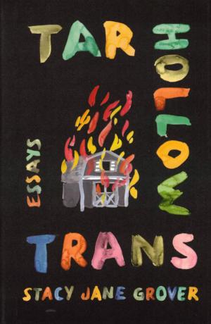 Tar Hollow Trans: Essays - cover image