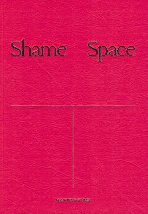 Shame Space - cover image
